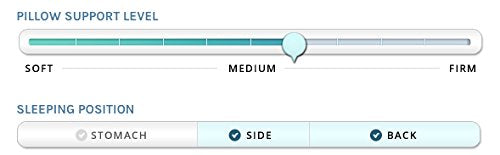 Down Dreams Standard Pillow Set. (2 Pillows) we liquidated