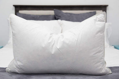 Down Dreams Classic Firm Pillow (Formerly Classic Too) (Jumbo)