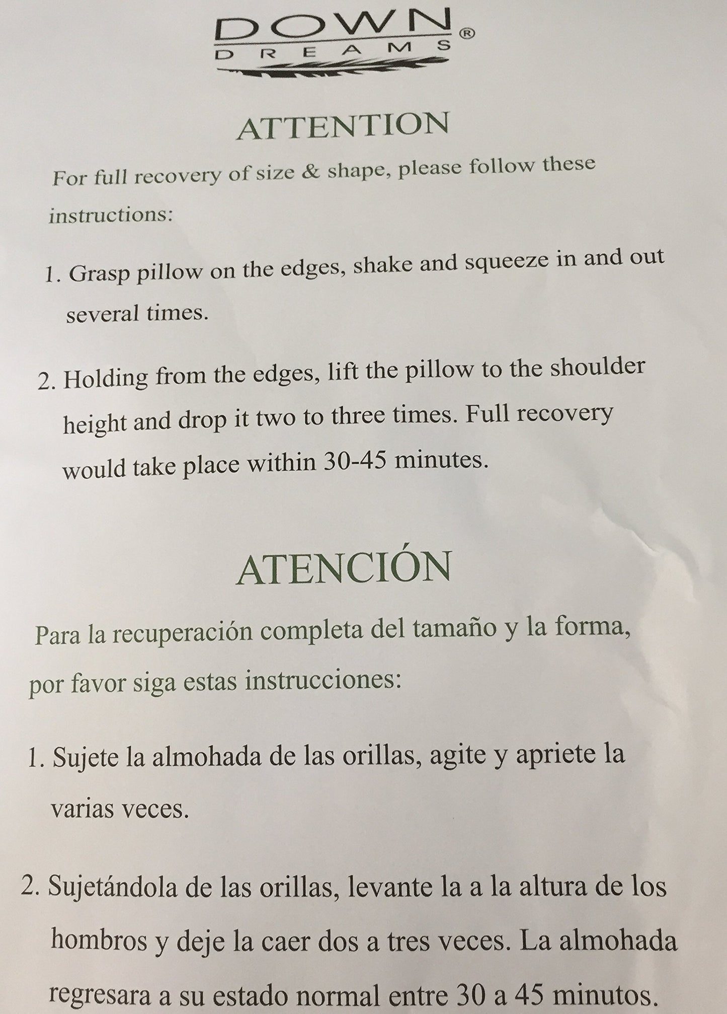 Down Dreams Standard Pillow Set. (2 Pillows) we liquidated